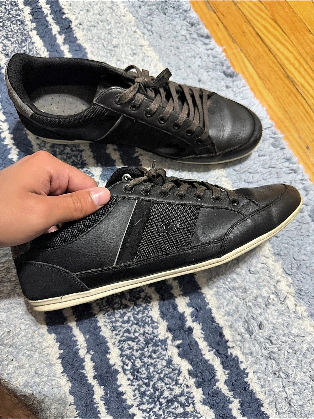 Lacoste Men's Black Sneakers
